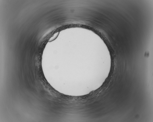 X0000111171064200908121041