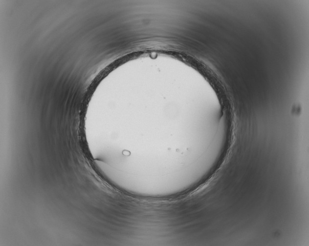 X0000111171065200908121041