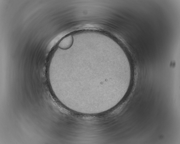 X0000111171066200908121041