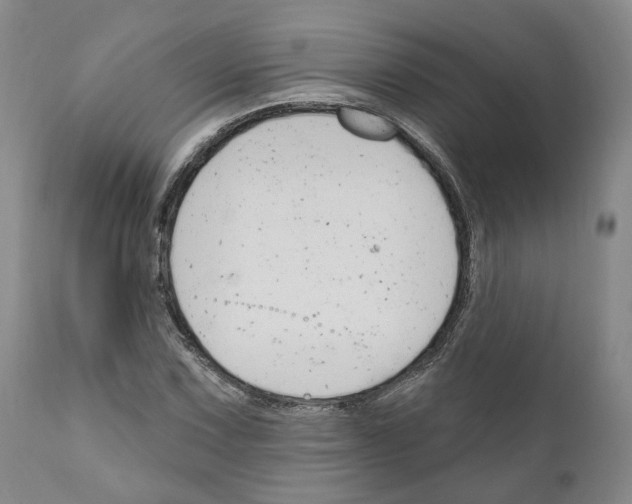 X0000111171067200908121041