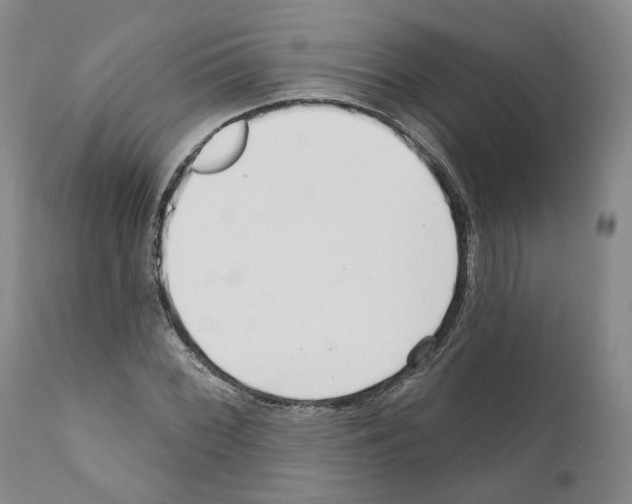 X0000111171068200908121041