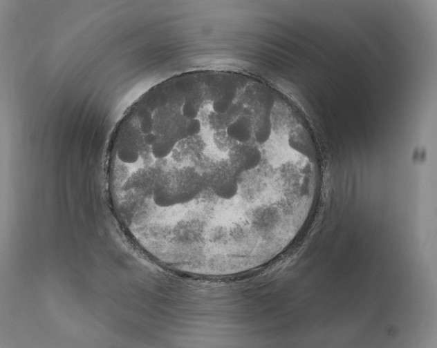 X0000111171071200908121041