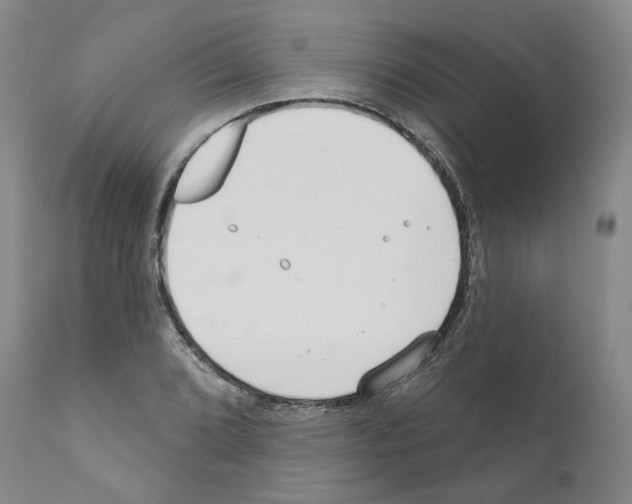 X0000111171072200908121041