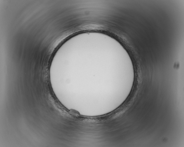 X0000111171073200908121041