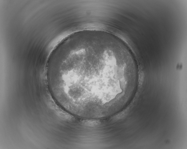 X0000111171074200908121041