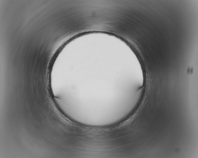 X0000111171077200908121041