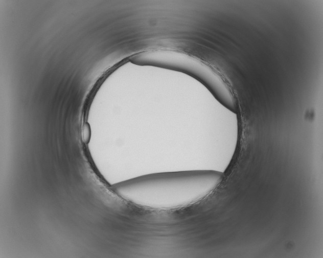 X0000111171080200908121041