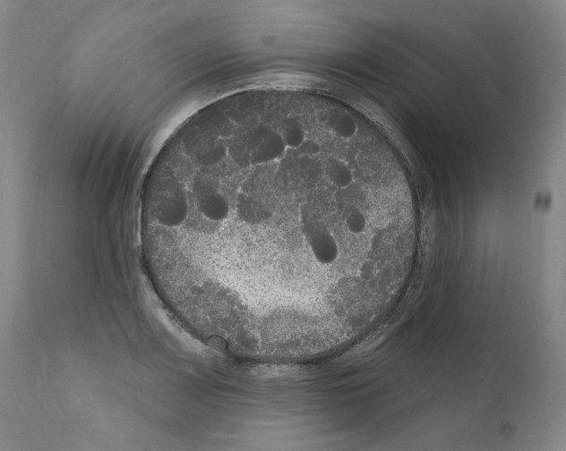 X0000111171083200908121041