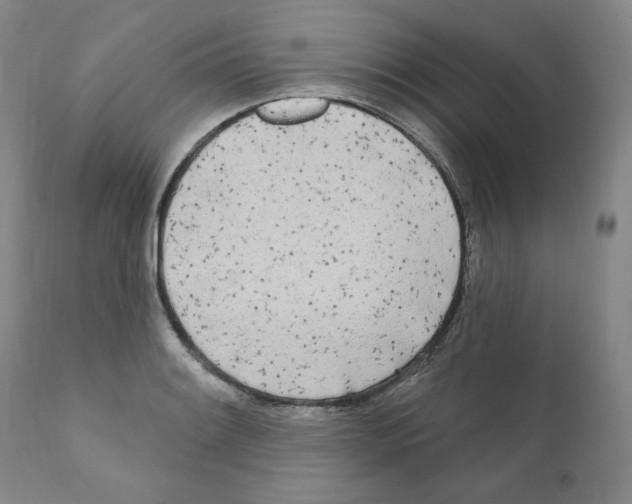 X0000111171084200908121041