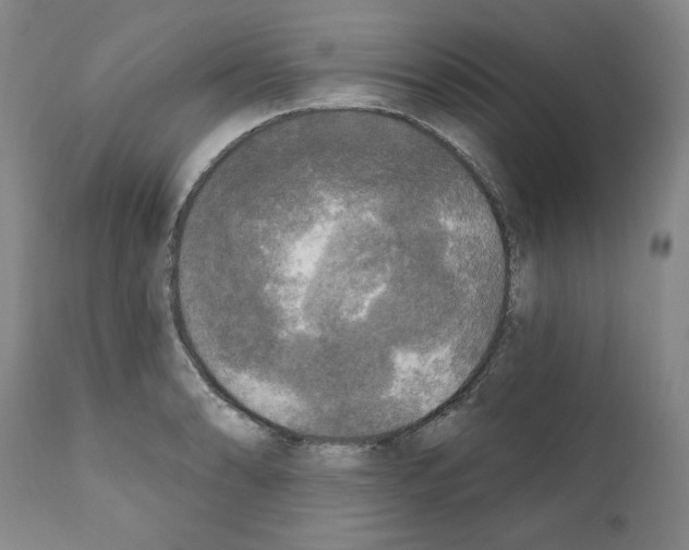 X0000111171086200908121041