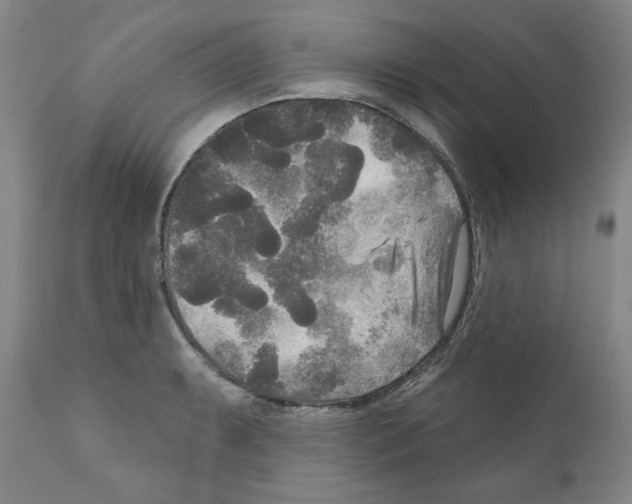 X0000111171087200908121041