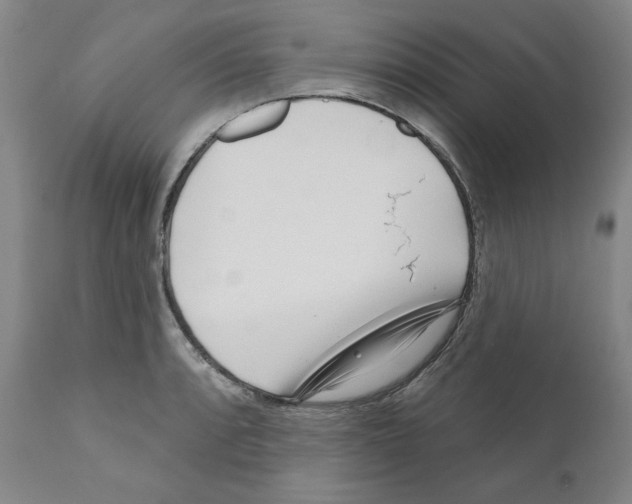 X0000111171088200908121041