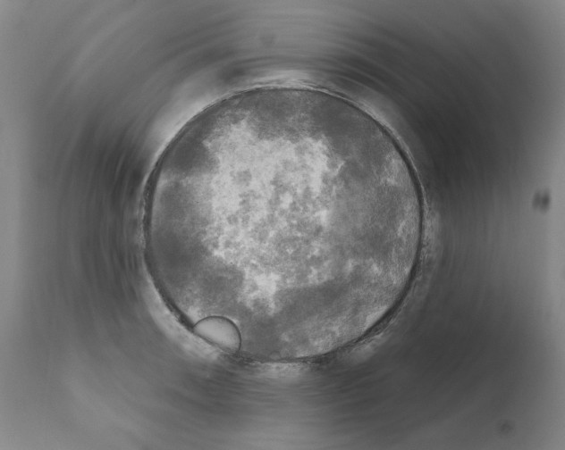 X0000111171090200908121041