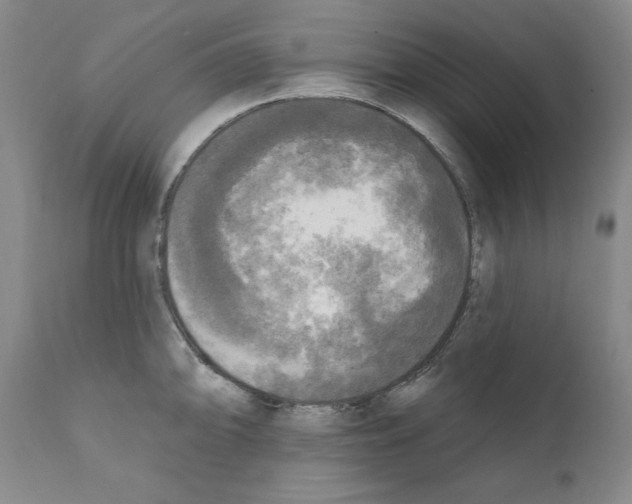 X0000111171094200908121041