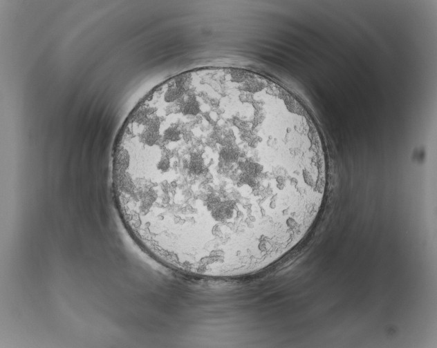 X0000111171095200908121041