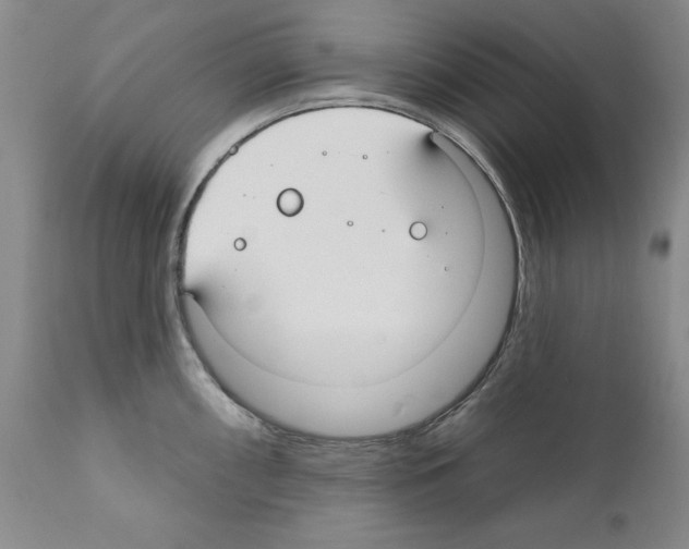 X0000111171098200908121041