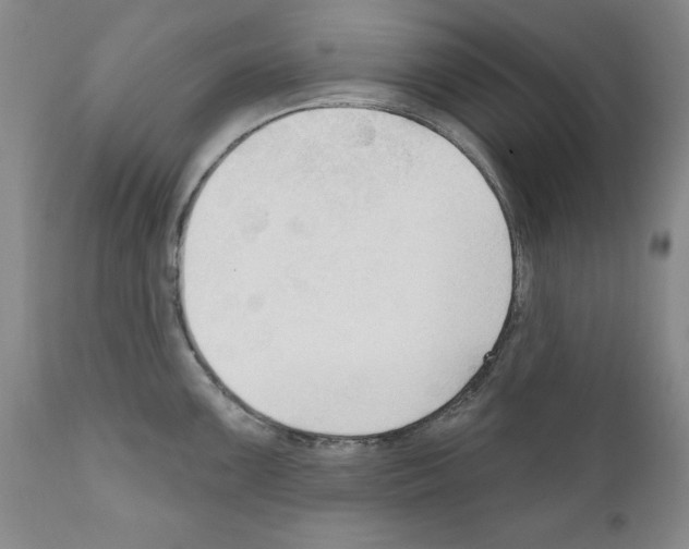 X0000111171099200908121041