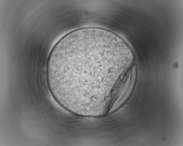 X0000111171100200908121041