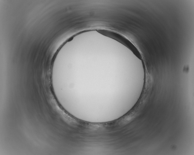 X0000111171101200908121041