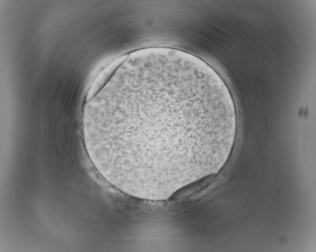 X0000111171104200908121041