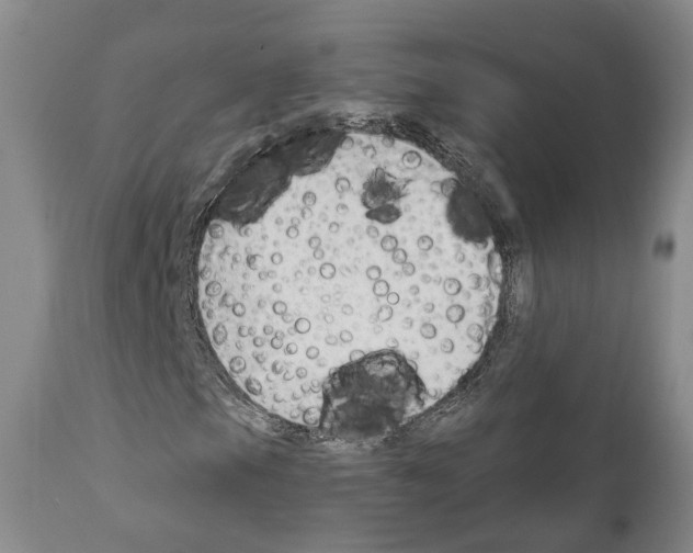 X0000111171105200908121040