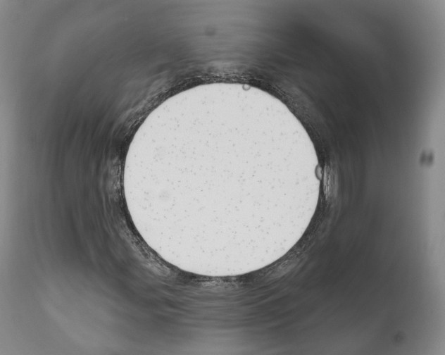 X0000111171107200908121040