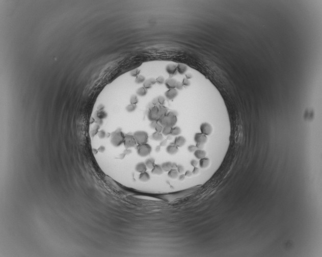 X0000111171108200908121040