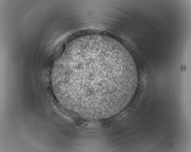 X0000111171110200908121040