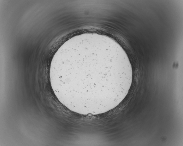 X0000111171111200908121040