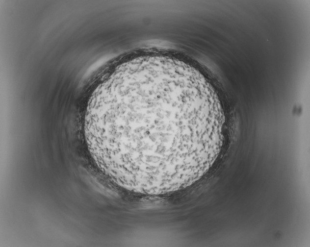 X0000111171112200908121040