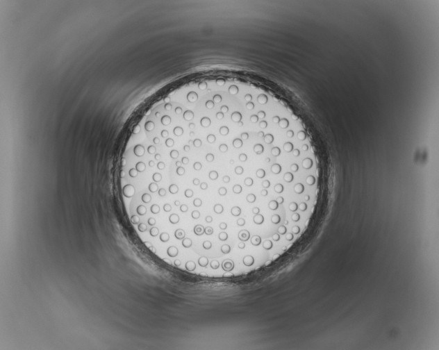 X0000111171113200908121040