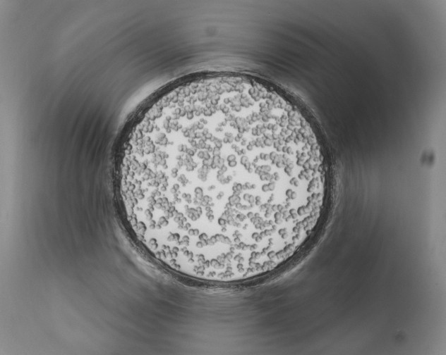 X0000111171114200908121040