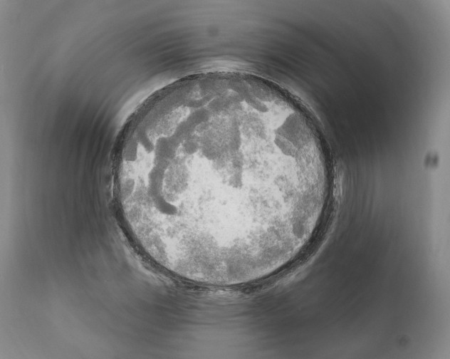 X0000111171117200908121040