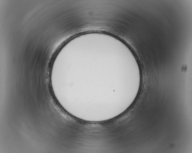 X0000111171119200908121040