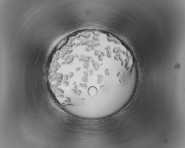 X0000111171120200908121040