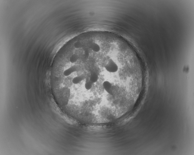 X0000111171121200908121040