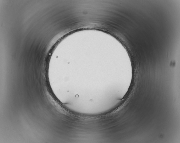 X0000111171122200908121040