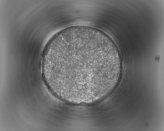 X0000111171123200908121040