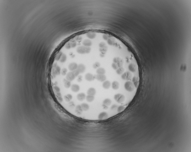 X0000111171124200908121040