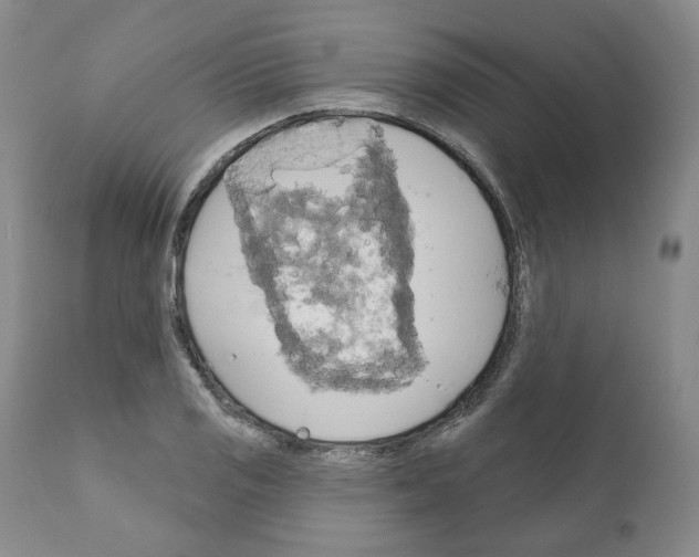 X0000111171125200908121040