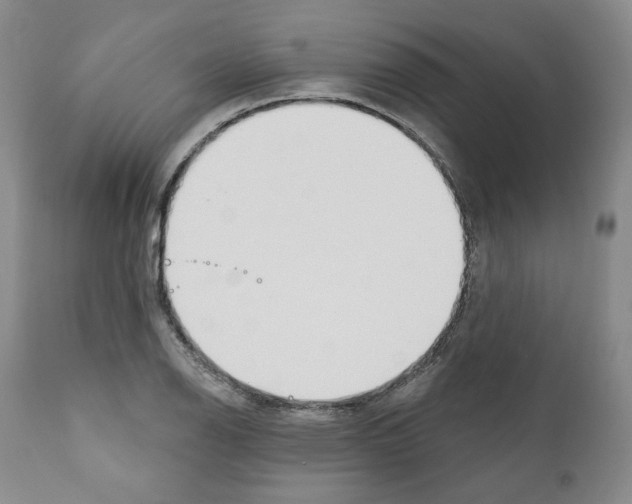 X0000111171126200908121040