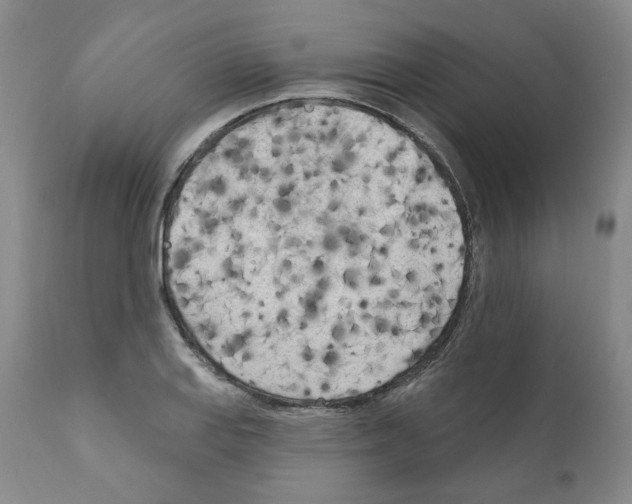 X0000111171127200908121040