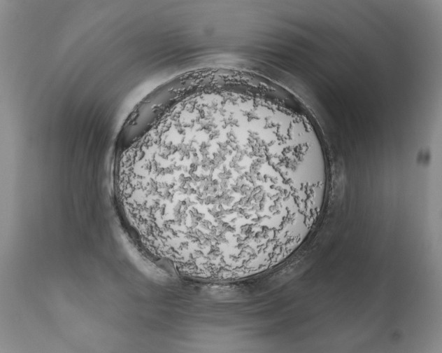 X0000111171128200908121040