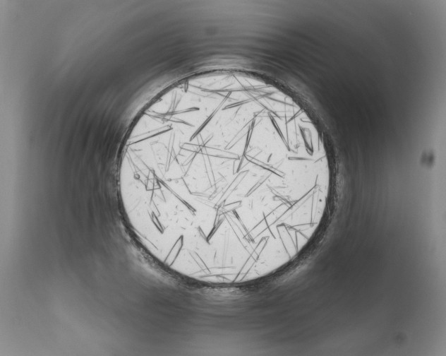 X0000111171129200908121040