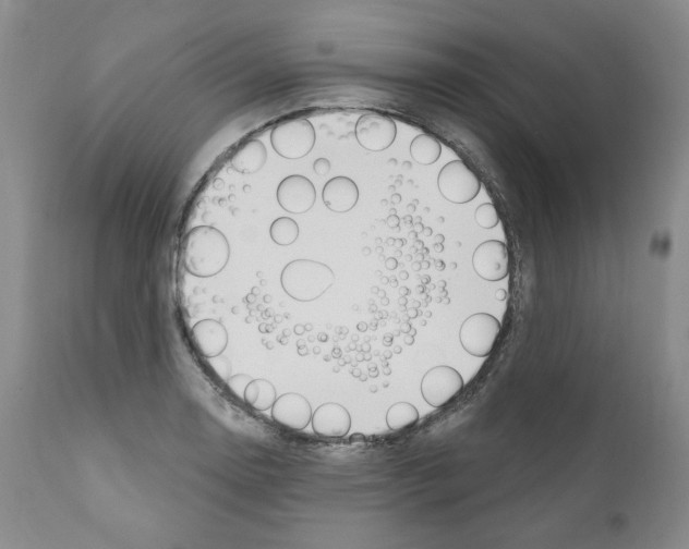 X0000111171130200908121040