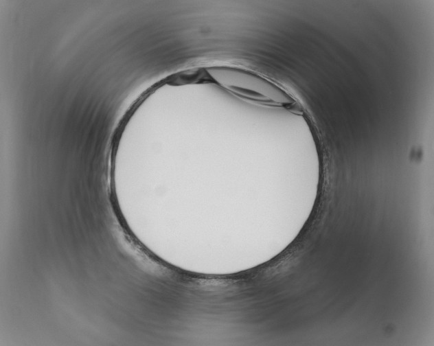 X0000111171132200908121040