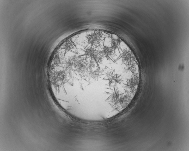 X0000111171133200908121040