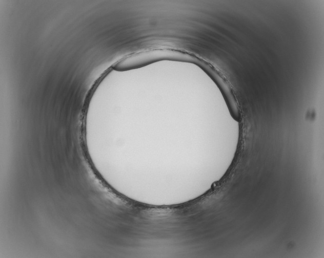 X0000111171134200908121040