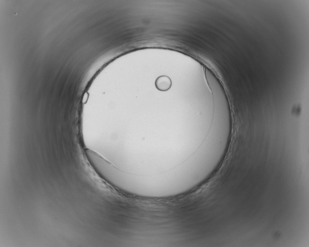 X0000111171138200908121041