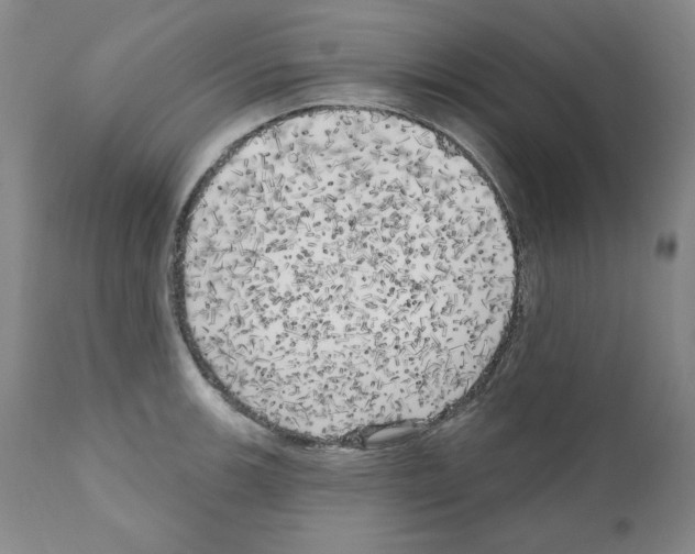 X0000111171139200908121041